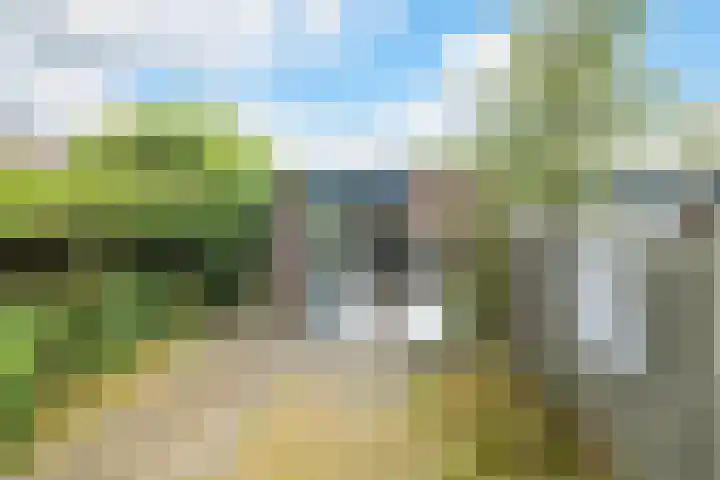 Buitenerf 144 Breda thumbnail 34