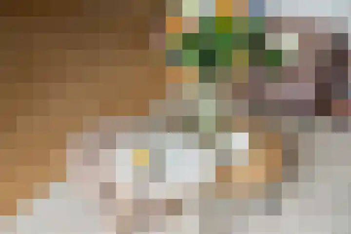 Buitenerf 144 Breda thumbnail 8