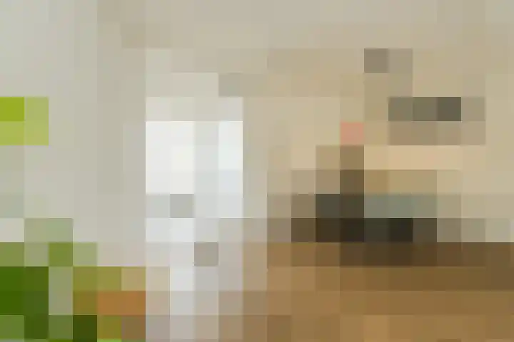 Buitenerf 175 Breda thumbnail 11
