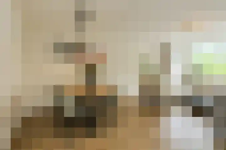 Buitenerf 175 Breda thumbnail 12