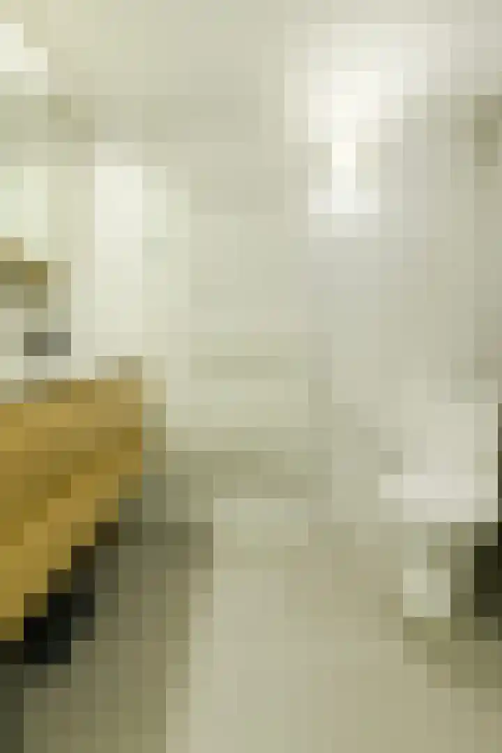 Buitenerf 175 Breda thumbnail 22