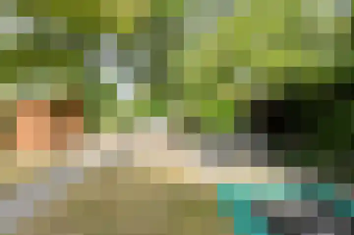 Buitenerf 175 Breda thumbnail 32