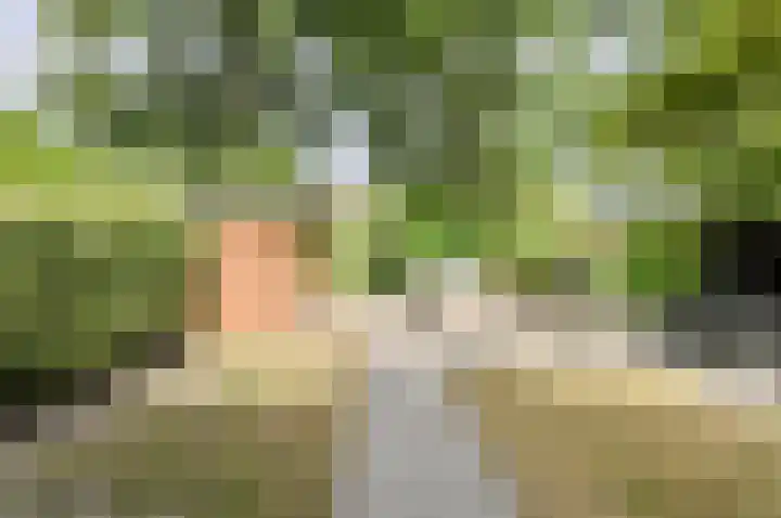 Buitenerf 175 Breda thumbnail 33