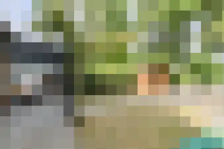 Buitenerf 175 Breda thumbnail 36