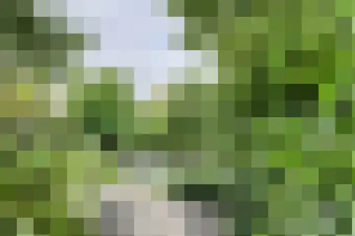 Buitenerf 175 Breda thumbnail 37