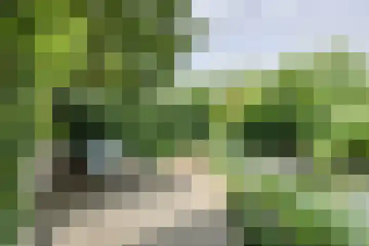 Buitenerf 175 Breda thumbnail 38