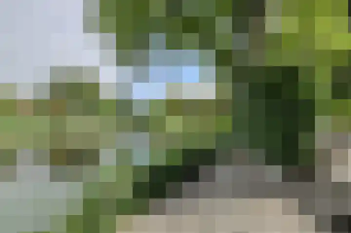 Buitenerf 175 Breda thumbnail 39