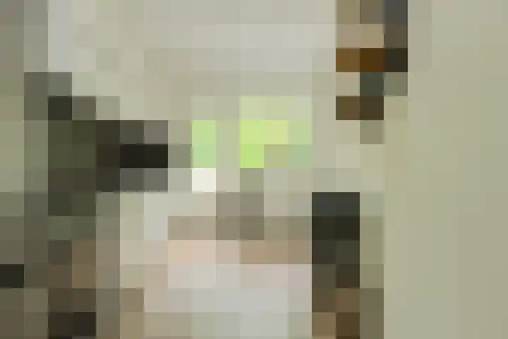 Buitenerf 175 Breda thumbnail 4