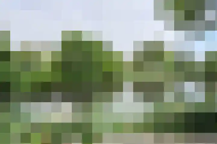 Buitenerf 175 Breda thumbnail 40