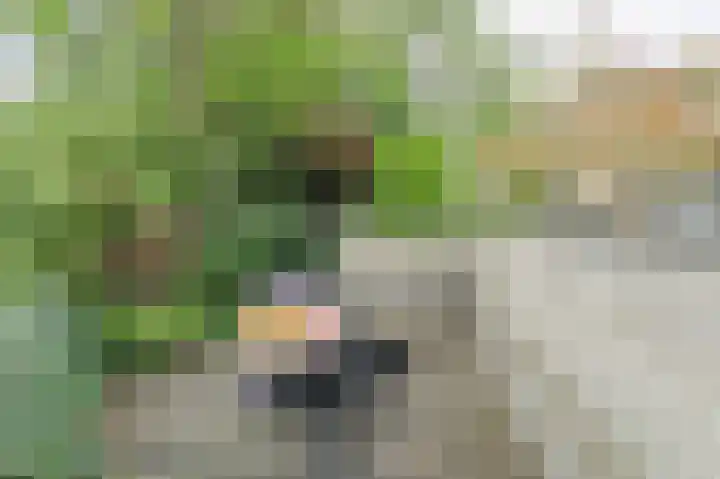 Buitenerf 175 Breda thumbnail 41