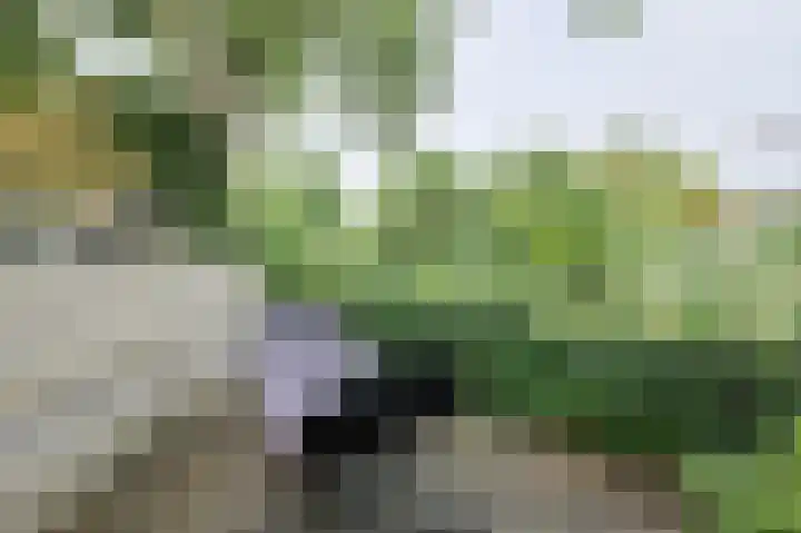 Buitenerf 175 Breda thumbnail 42