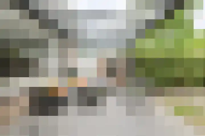 Buitenerf 175 Breda thumbnail 44