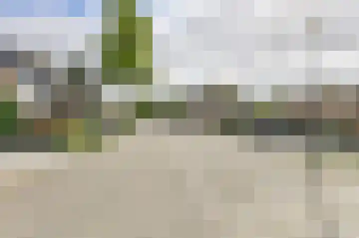 Buitenerf 175 Breda thumbnail 45