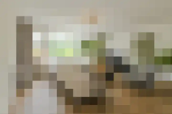 Buitenerf 175 Breda thumbnail 6
