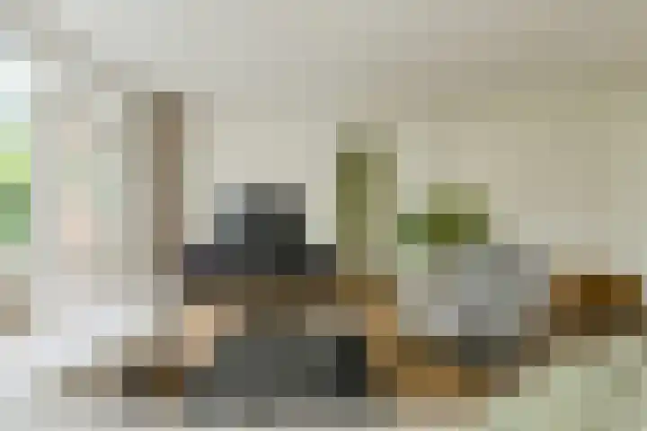 Buitenerf 175 Breda thumbnail 7