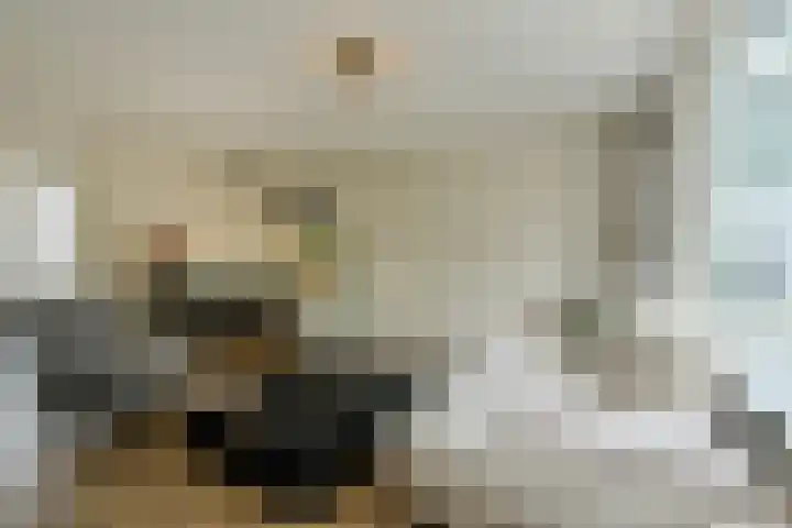Buitenerf 175 Breda thumbnail 9