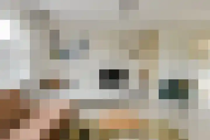 Buitenerf 2 Breda thumbnail 11
