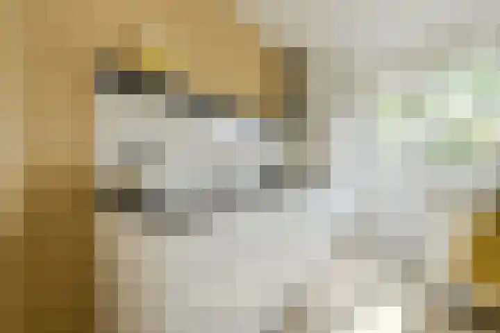 Buitenerf 2 Breda thumbnail 16