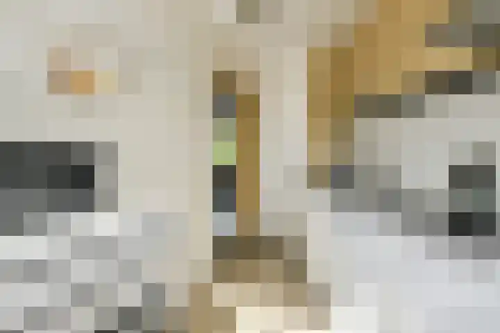 Buitenerf 2 Breda thumbnail 18