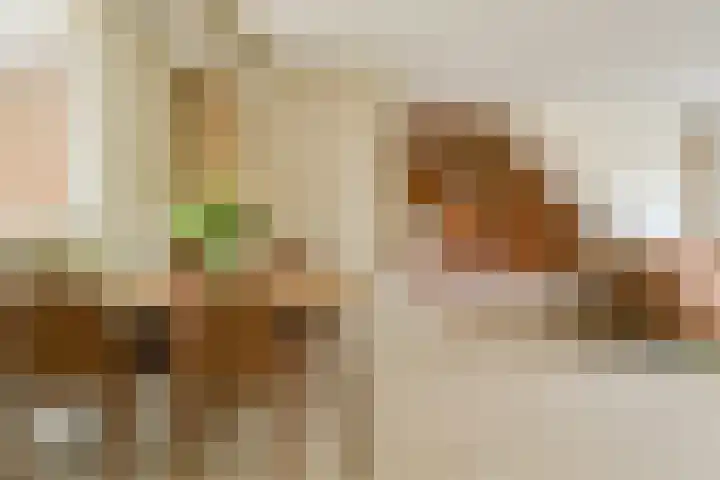 Buitenerf 2 Breda thumbnail 19