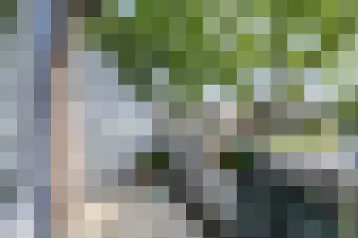 Buitenerf 2 Breda thumbnail 22