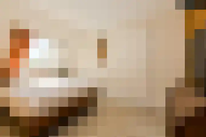 Buitenerf 2 Breda thumbnail 27