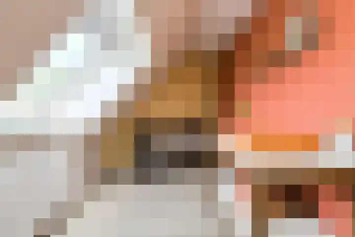 Buitenerf 2 Breda thumbnail 33