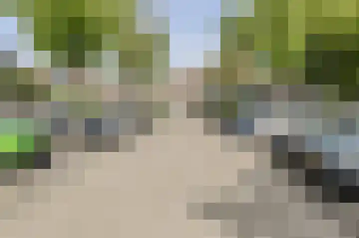 Buitenerf 2 Breda thumbnail 36