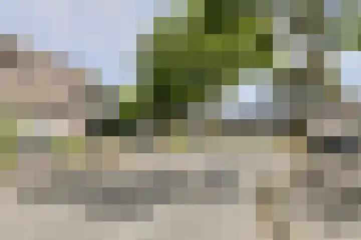 Buitenerf 2 Breda thumbnail 37