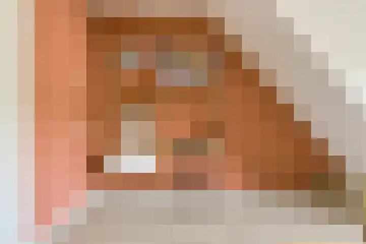 Buitenerf 2 Breda thumbnail 6