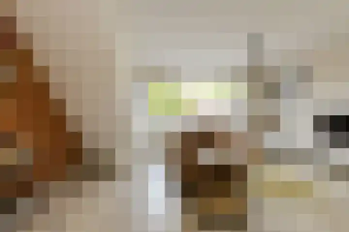 Buitenerf 2 Breda thumbnail 7