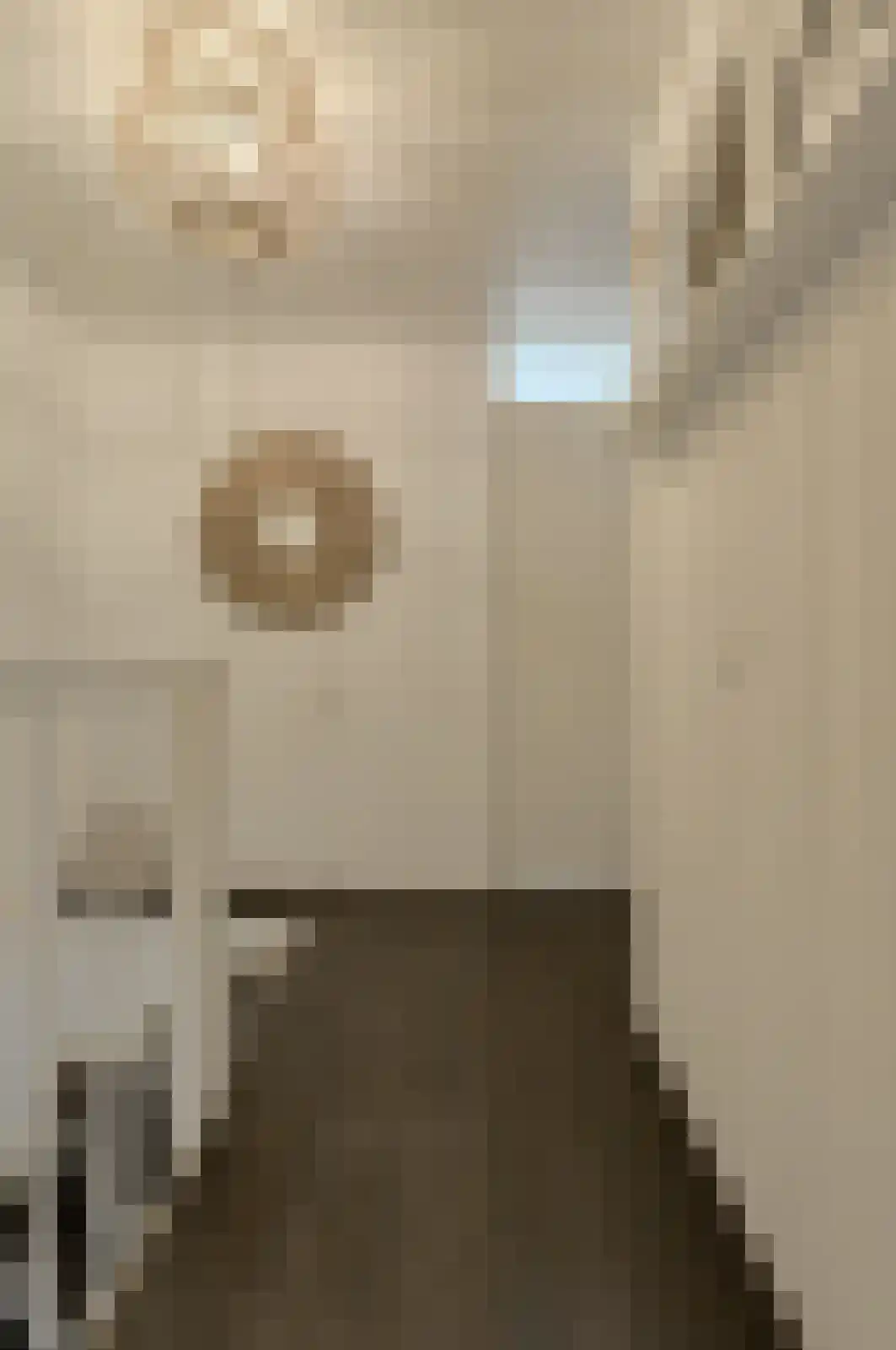 Buitenerf 52 Breda thumbnail 32
