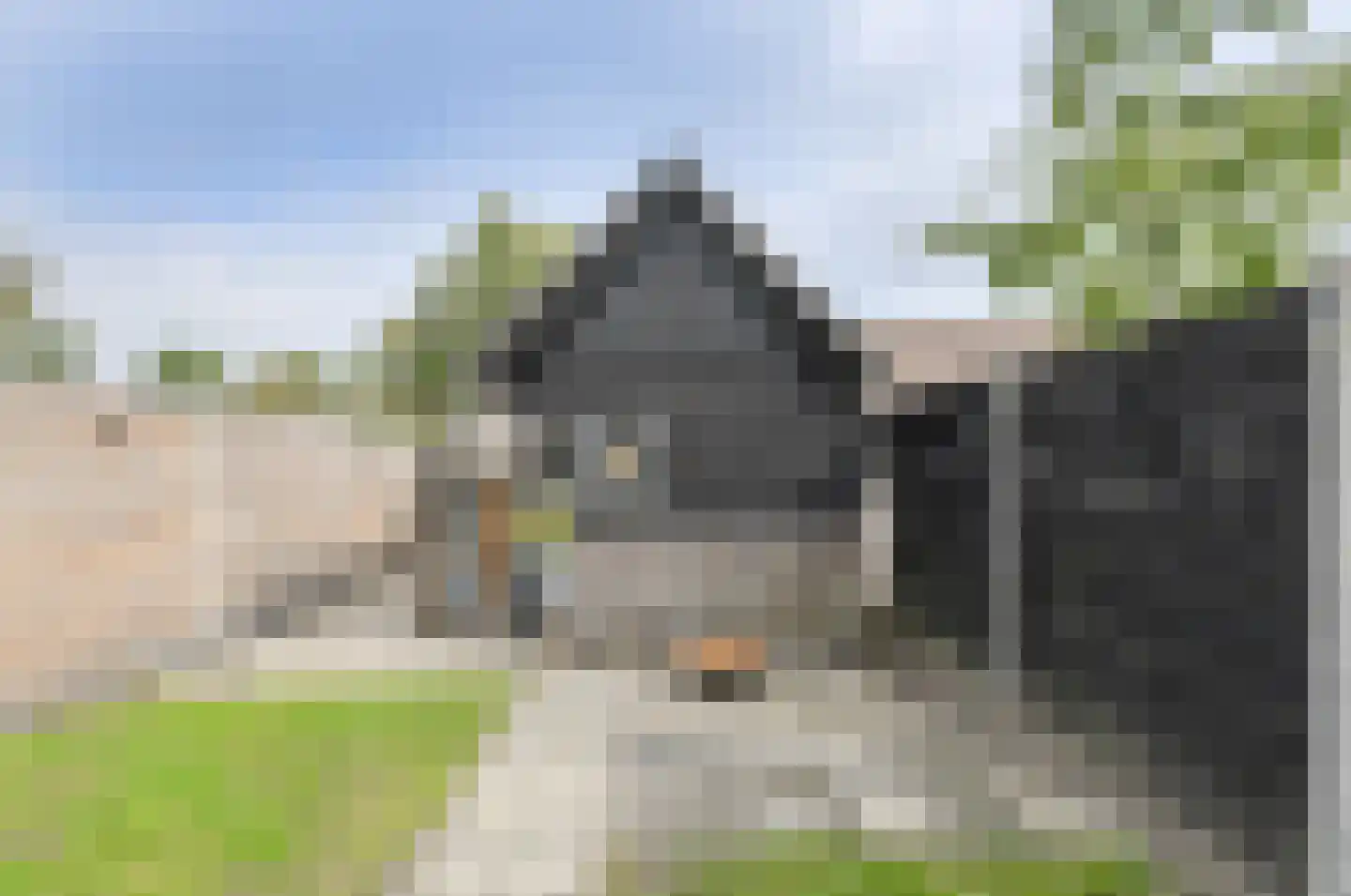 Buitenerf 52 Breda thumbnail 34