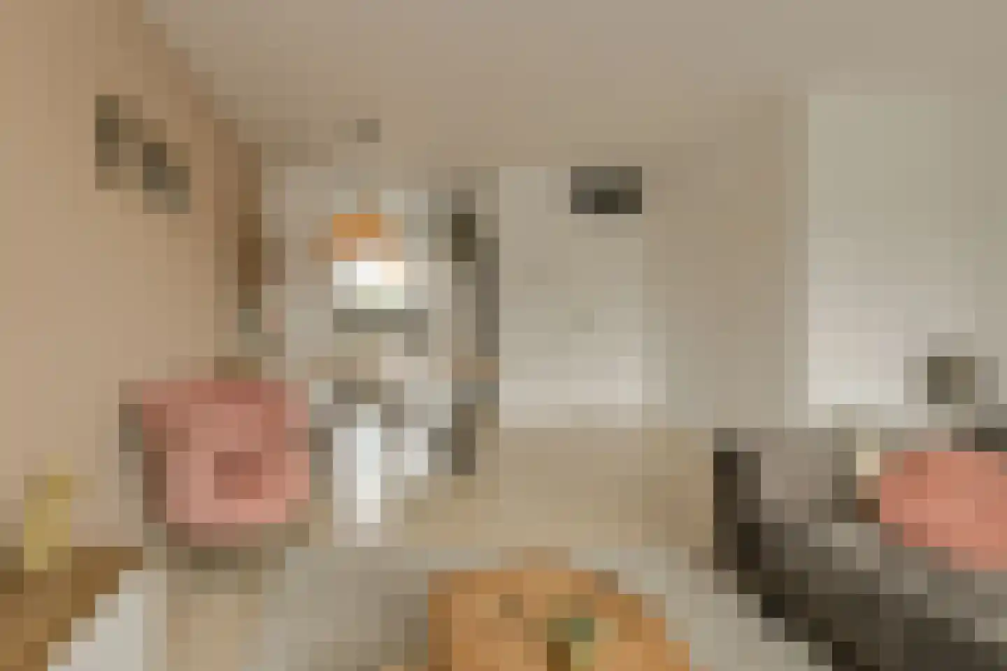 Buitenerf 52 Breda thumbnail 4