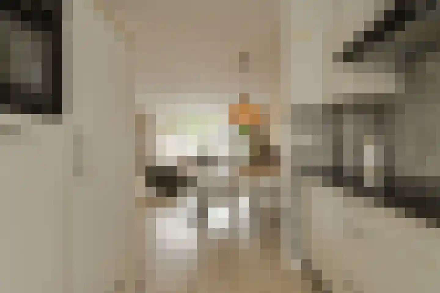 Buitenerf 52 Breda thumbnail 7