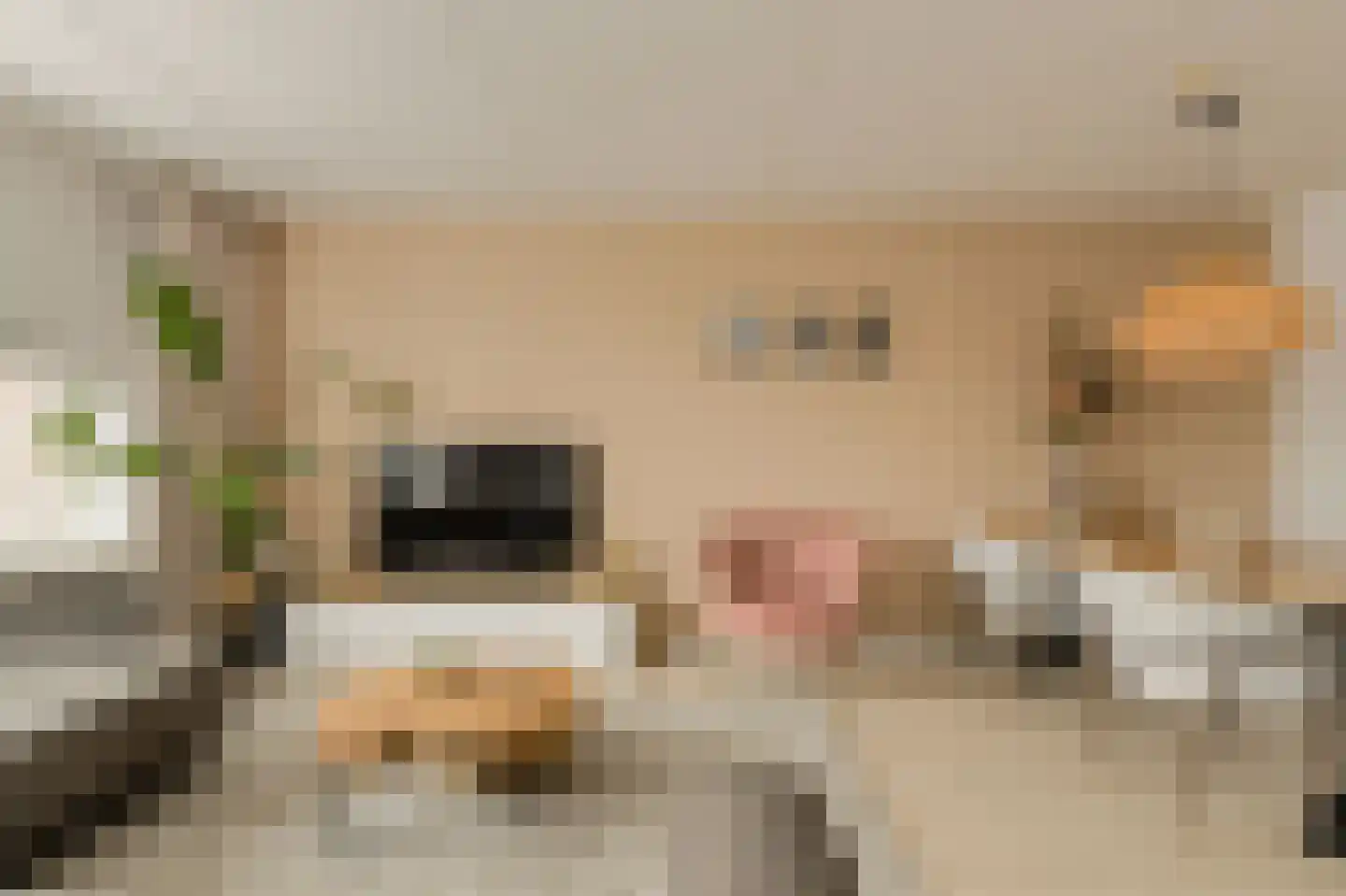 Buitenerf 52 Breda thumbnail 8