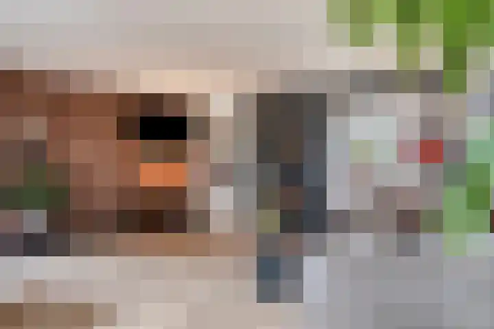 Buitenerf 81 Breda thumbnail 12