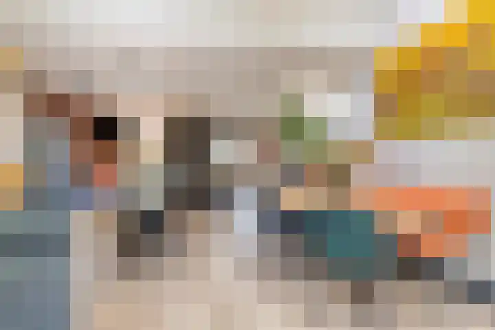 Buitenerf 81 Breda thumbnail 18