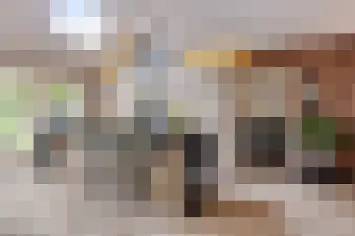 Buitenerf 81 Breda thumbnail 19