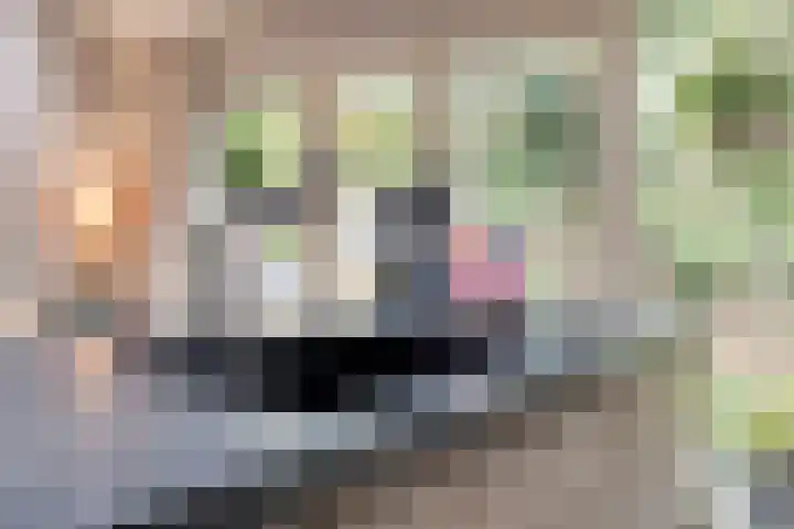 Buitenerf 81 Breda thumbnail 21
