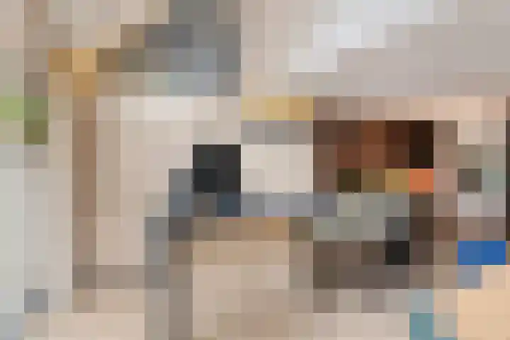 Buitenerf 81 Breda thumbnail 23