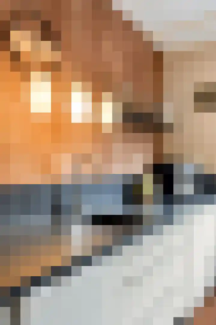 Buitenerf 81 Breda thumbnail 26