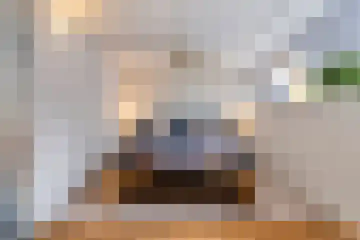Buitenerf 81 Breda thumbnail 28