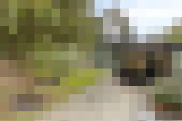 Buitenerf 81 Breda thumbnail 4