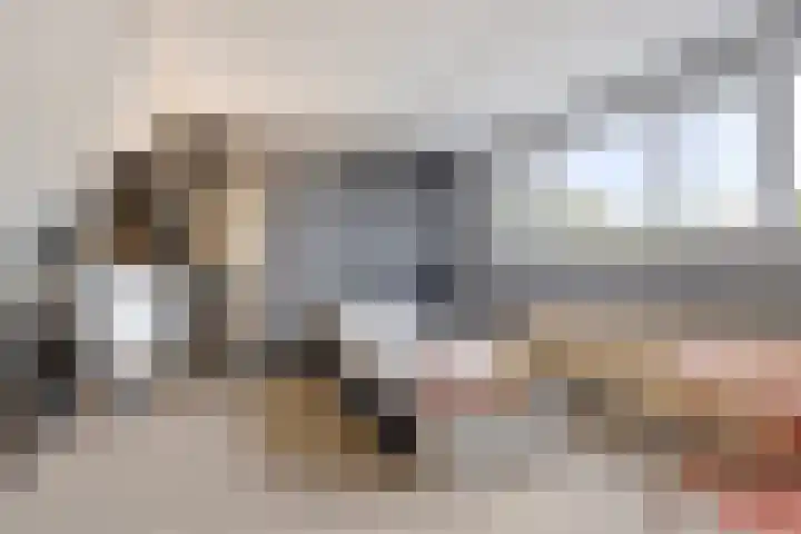 Buitenerf 81 Breda thumbnail 42