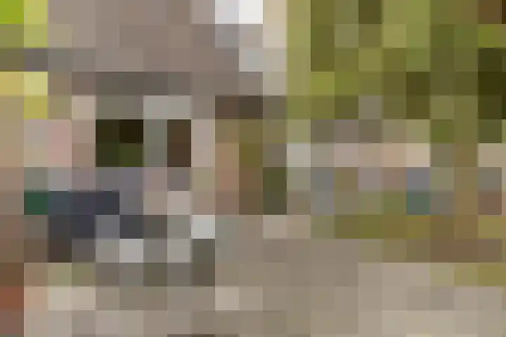 Buitenerf 81 Breda thumbnail 44