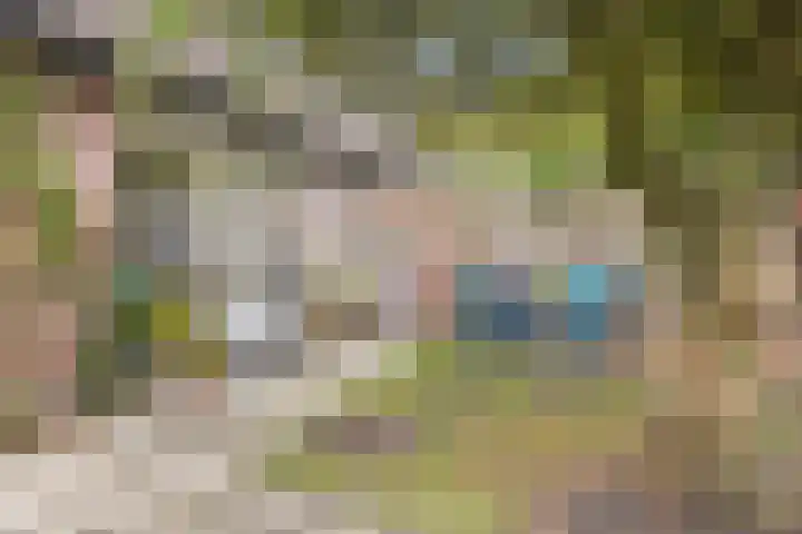 Buitenerf 81 Breda thumbnail 45