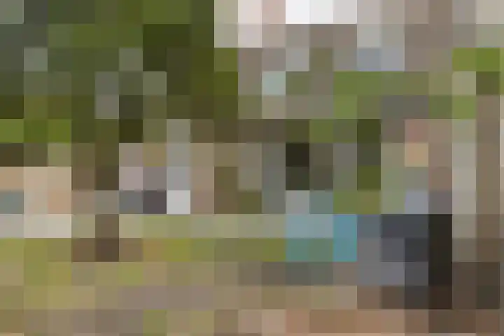 Buitenerf 81 Breda thumbnail 46
