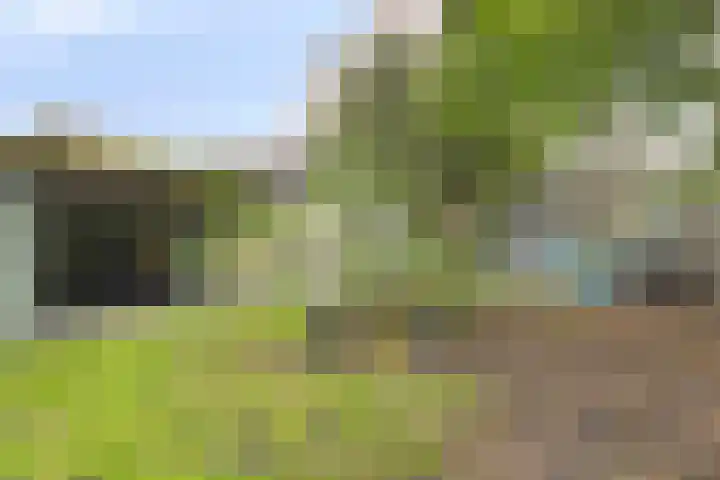 Buitenerf 81 Breda thumbnail 47