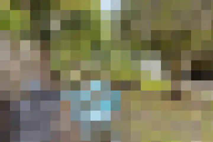 Buitenerf 81 Breda thumbnail 48